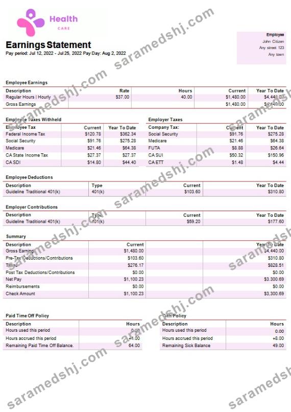 health services company paystub template in Word and PDF formats